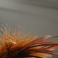 corsage antique decorative feathers