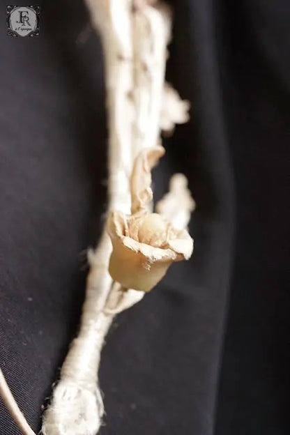 couronne de fleur   antique  アンティークティアラ　お花 .FR A Ll'EPOQUE